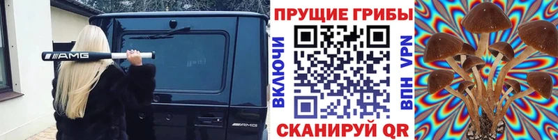 Купить где  Егорьевск  Галлюциногенные грибы ЛСД 